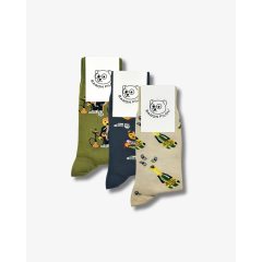 FW24 3-Pack Knit Socks - Colorful